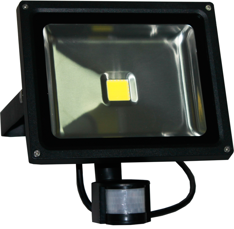 Бастион SL-220VAC-30W-MS исп.5 прожектор светодиодный с датчиком движения