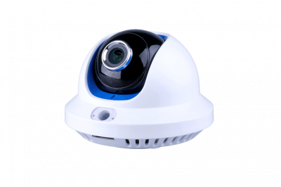 VIGUARD CAM D в/к купол, 2Мр