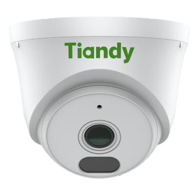 TIANDY AK TC-C320N AK/I3W/E/Y/2.8mm/V2.0 IP камера купольная