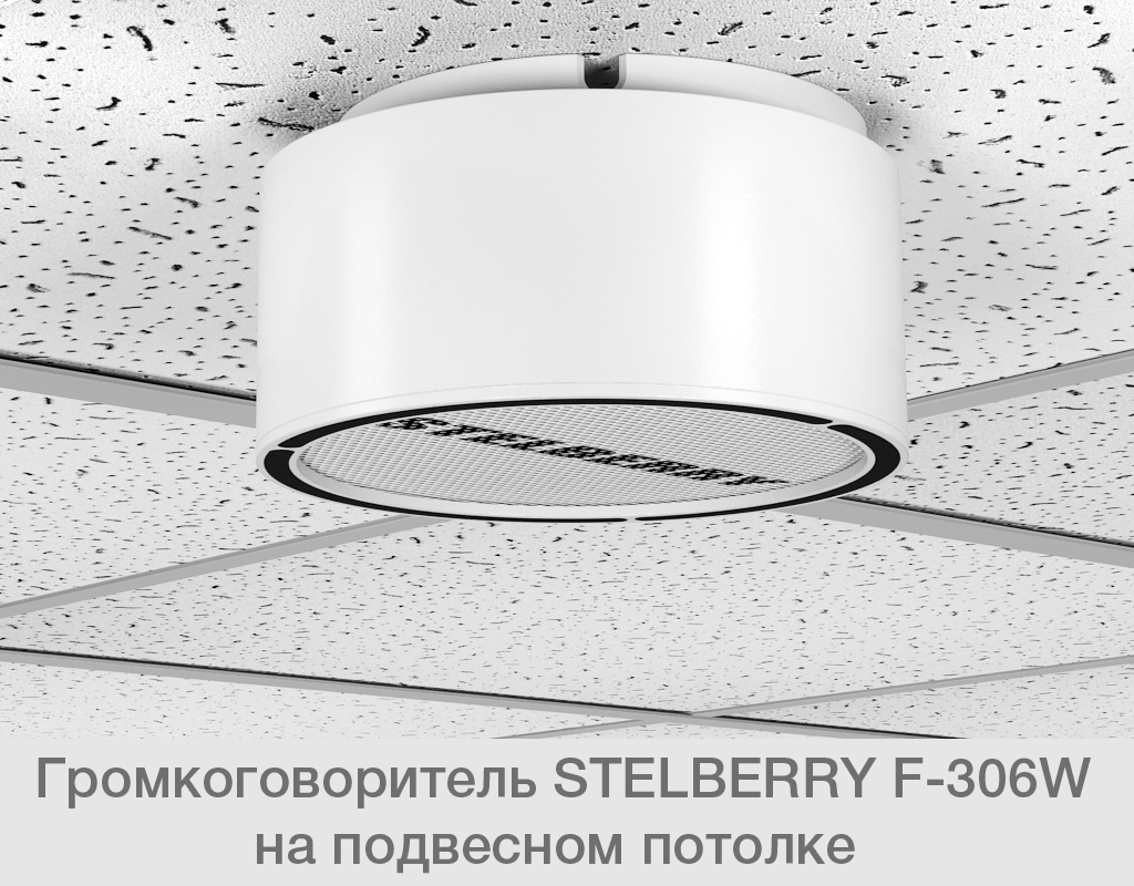 Все Потолочно-настенный громкоговоритель F-306W Stelberry видеонаблюдения в магазине Vidos Group