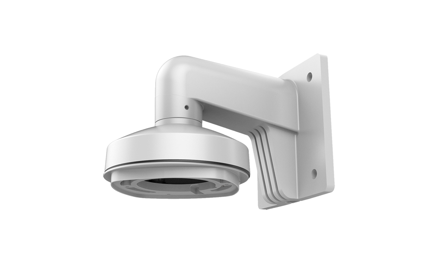 RVi-2BWM-F1 кронштейны