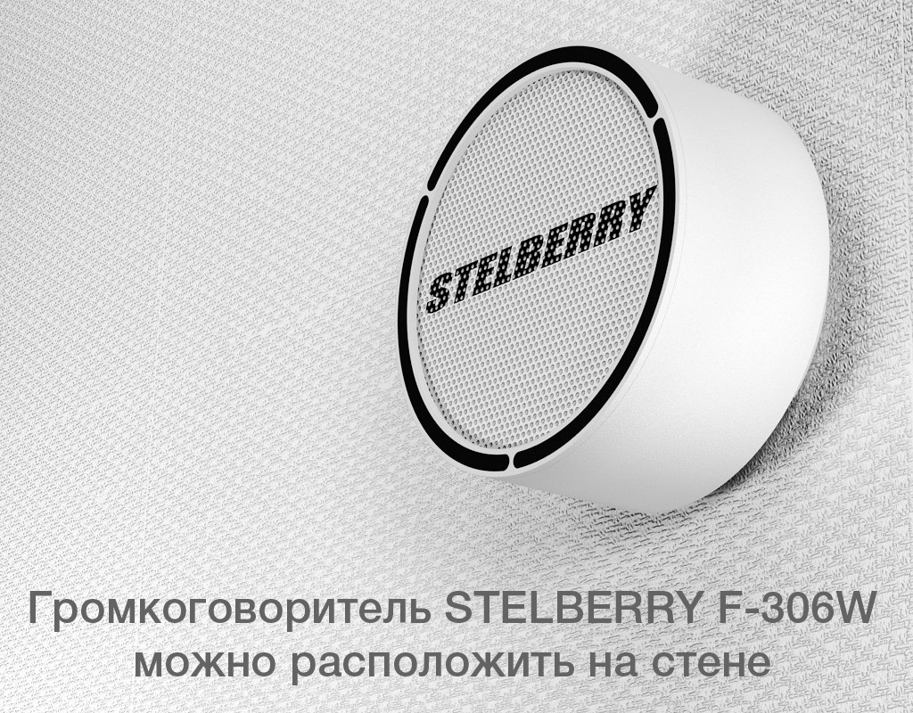 Все Потолочно-настенный громкоговоритель F-306W Stelberry видеонаблюдения в магазине Vidos Group