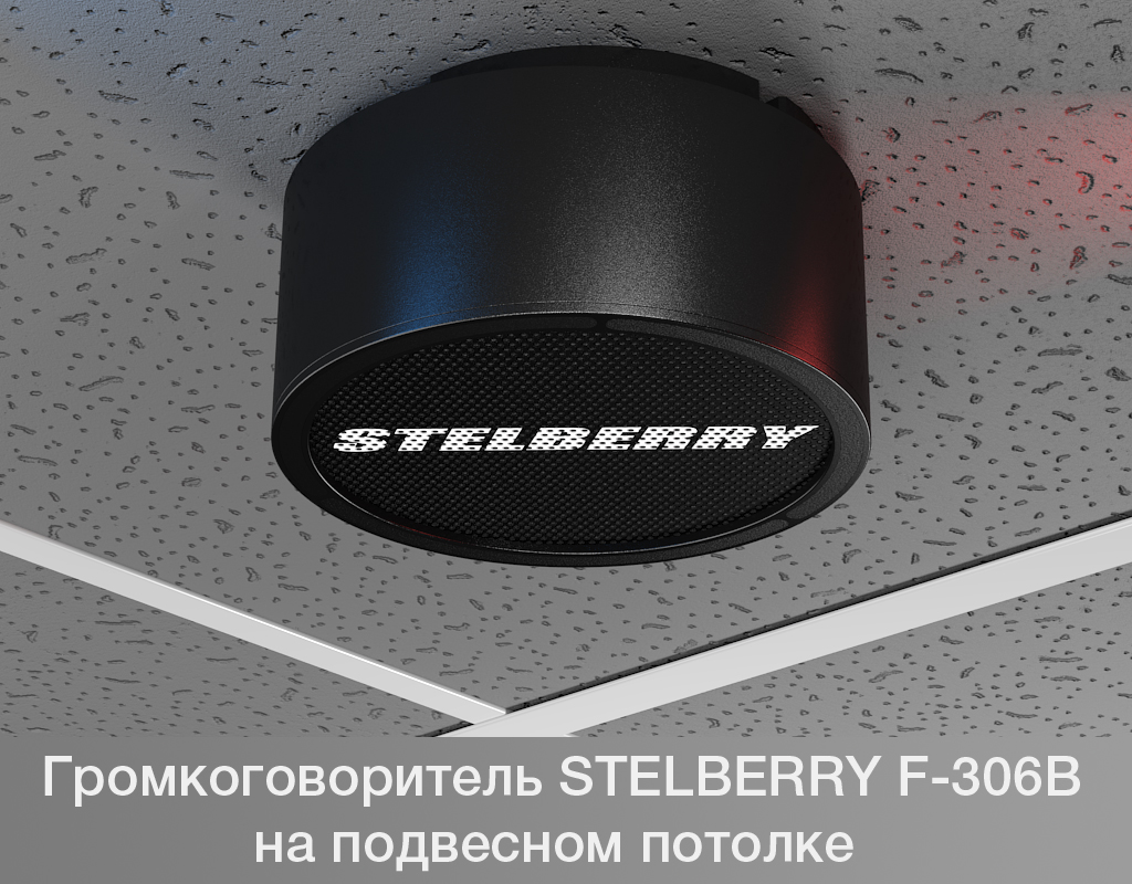 Все Потолочно-настенный громкоговоритель F-306B Stelberry видеонаблюдения в магазине Vidos Group