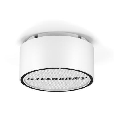 Stelberry F-310W потолочно-настенный громкоговоритель