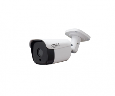 Fox FX-IPC-C20FP-IR IP-камера